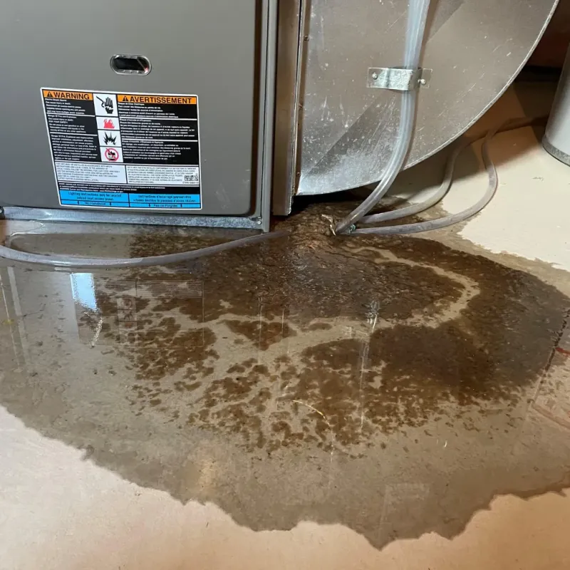 Appliance Leak Cleanup in Brownstown, IN